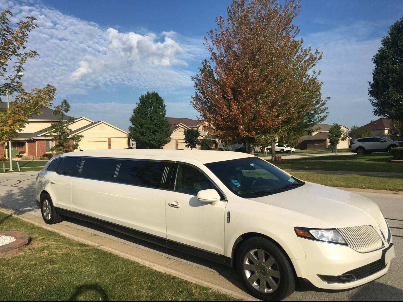 Chauffeur Limo Service
